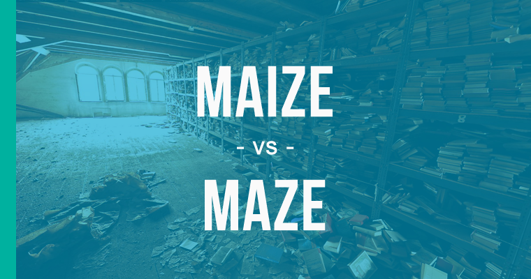 maize versus maze